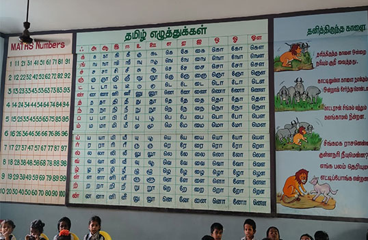 AMALA SCHOOL